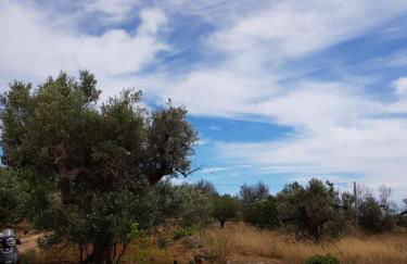 Trullo Contrada Specchi - Foto 20