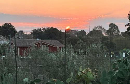 LAPILLI Holidays - Foto 4