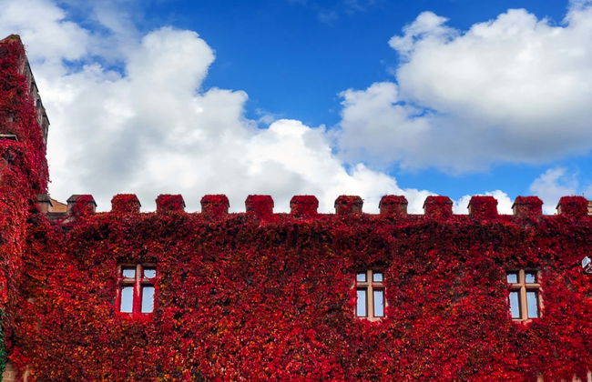 Tour in Olite - Foto 2