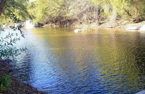 Retro Casita on the River! only 1 min to SNP gate! Riverfront with swimming - Foto 27