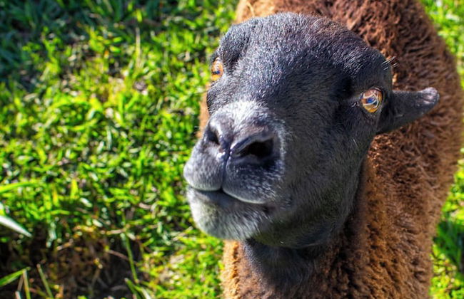 Almore Hotel - Foto 46