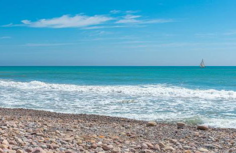 Amplio Canet - Foto 26