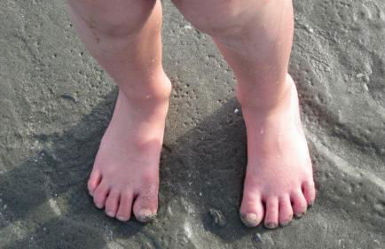 Appartamento Lavanda - Casa vacanza nel Delta del Po - Foto 33