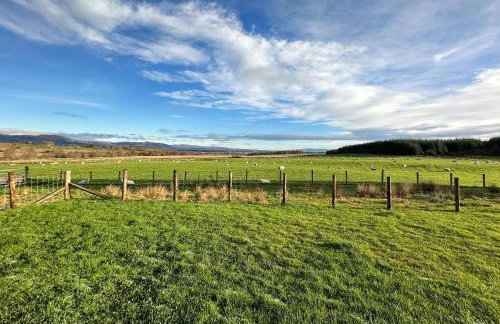 Fiadh Ruadh-Uk40008 - Foto 31