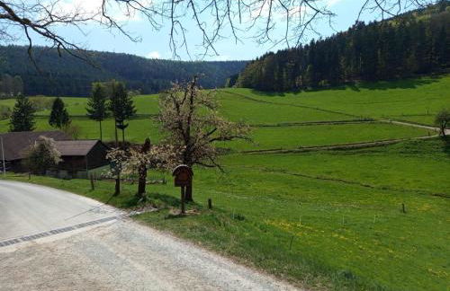 Ferienwohnung Hennrich - Foto 6
