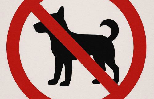 Ferienwohnung Schlossblick Direkt gegenüber dem Schloss, Rhododendronpark mit Terrasse und WLAN - Foto 28