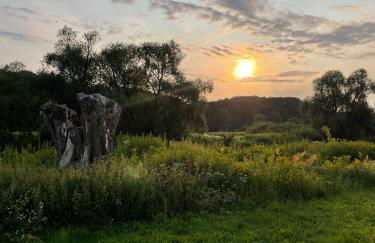 Haus am Wald in Hitzacker Elbe Wendland - Foto 23