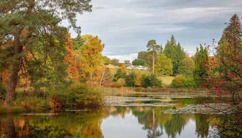Cedar Cabin Overlooking Bedgebury Forest - Foto 5