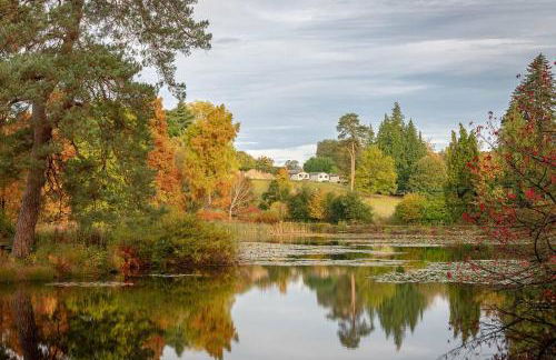 Cedar Cabin Overlooking Bedgebury Forest - Foto 5