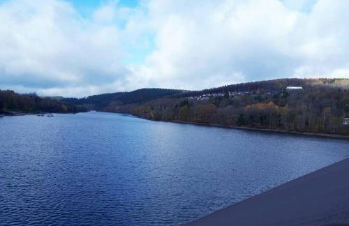 Ferienhaus Eifelschätzchen am Kronenburger See - Foto 30