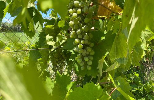 Villa Eleonas by the Sea with private pool - Foto 32