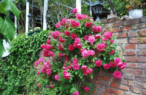 Am Berggarten - Foto 39