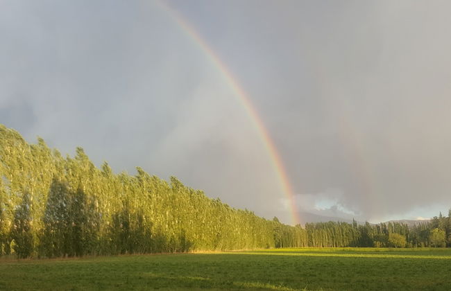 Complejo Río los Patos - Cabañas y Hostel - Photo 72