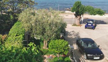 App Maria 1 - Foto 5