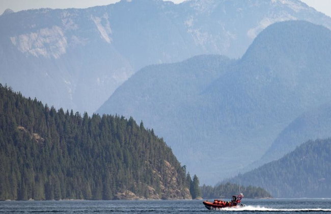 4 Hour Whale and Wildlife Boat Tour - Foto 15