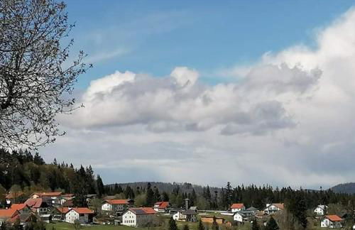 Edelstein Ferienwohnung Philippsreut - Foto 45