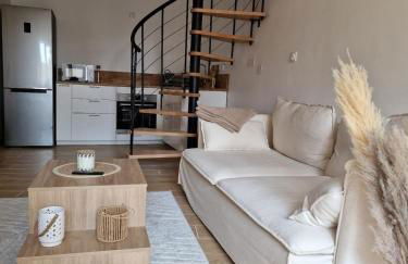 T3 Duplex - Centre-ville - Foto 2