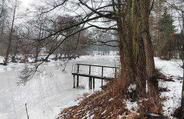 Masuria Warsaw Family - dom na wyłączność - w lesie i przy rzece - 15 min od Warszawy - idealny dla rodzin z dziećmi - Foto 39