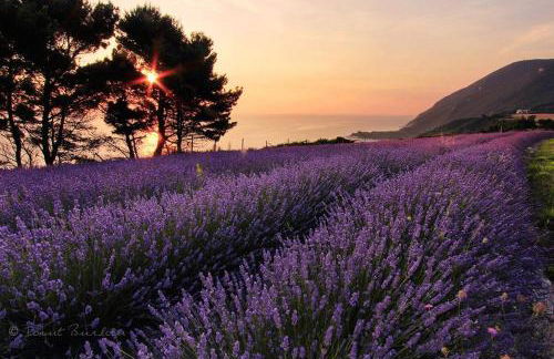 A Casa di Claudia - Foto 46