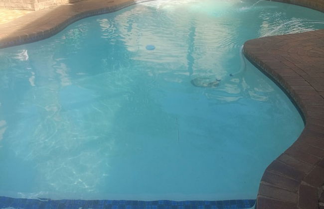 Naisar Holiday Home & Cottage Primrose - Foto 28