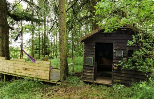 Pant Y Rhedyn - Foto 43