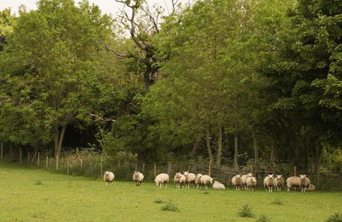 Just A Cottage, Newlands Farm - Foto 15