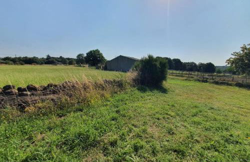 A Palleira de Aguil - Foto 15