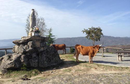 Cantinho Redondo Gerês - Foto 10