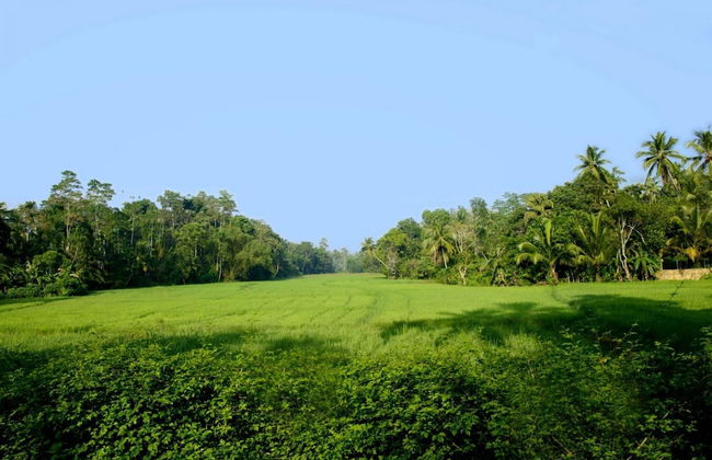 Dutch Colonial Period Villa In Contemporary Style - Foto 10