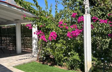 Hermes Grove - Foto 29