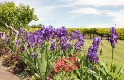 Phoenix House - Foto 59