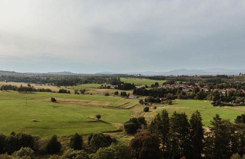 Waldrandzauber - Foto 37