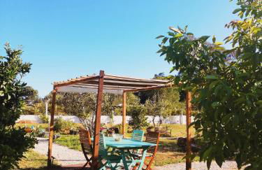 Quinta do Marinheiro - Meco - Foto 16