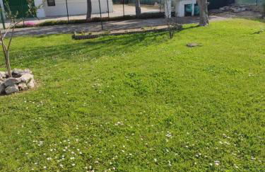 Da Francesca - Foto 8