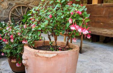 Olmares Terrace Apartment - Picos de Europa - Photo 20