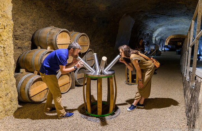 "BODEGAS AMBACIA", Tour y Cata de Vinos en Amboise, Valle del Loira - Foto 10