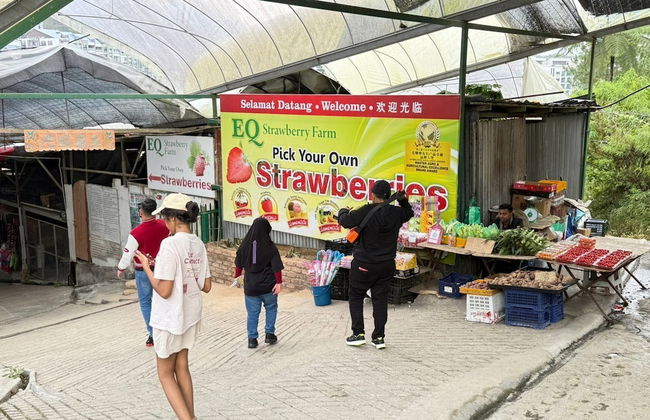The Retreat sunrise view Cameron highlands - Photo 76
