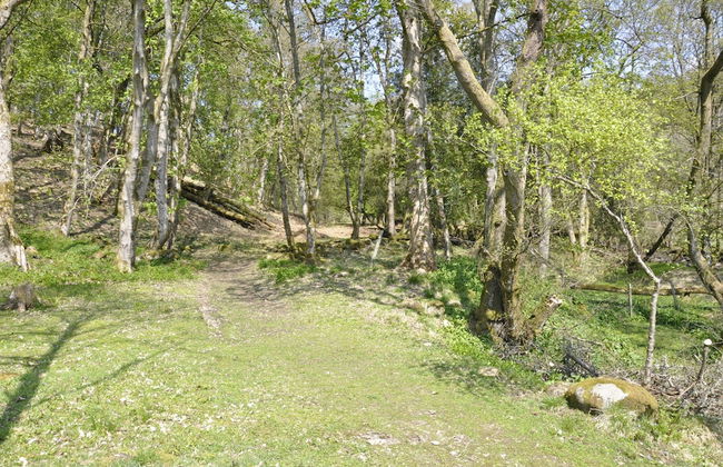 Country Retreats at Butterstone - Photo 14