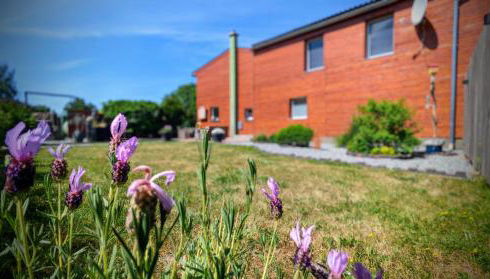 Ferienwohnung Sophia - Foto 4