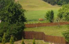 Zielona Dolina - Foto 46