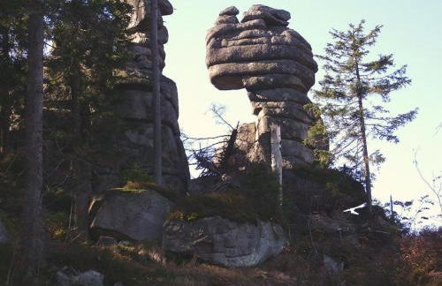 Fewo Keilhofer - Foto 10