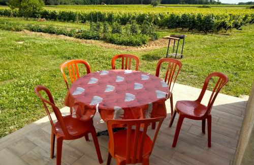 Maison dans les vignes - proche Chenonceau Beauval - Foto 6