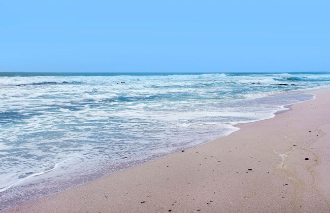 Tweede Boom - Photo 22