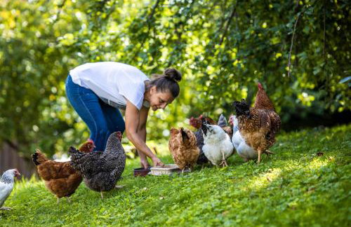 Żywkowo Bocianie Gospodarstwo Rolne - Foto 33