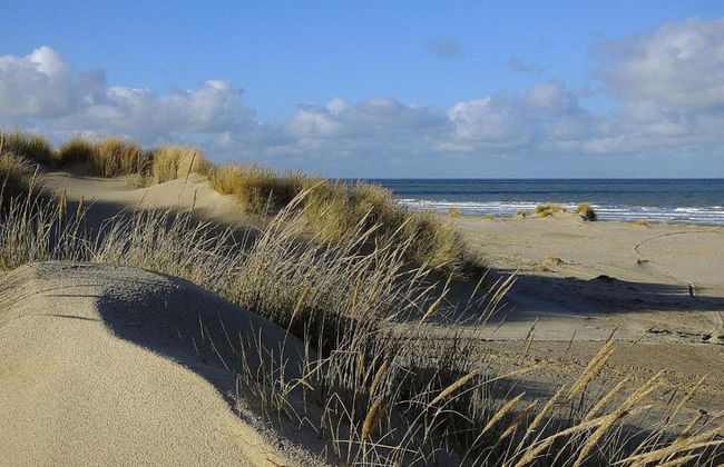 Holiday Home in Domburg Near Beach - Foto 33