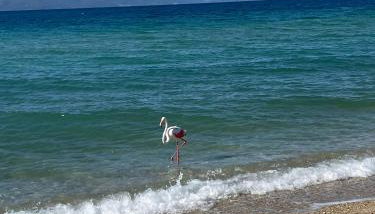 Beautiful Apartment Amaryllis - Foto 4