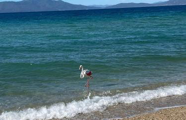 Beautiful Apartment Amaryllis - Foto 4