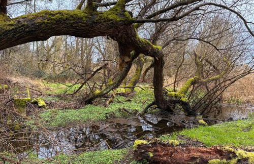 Bodensee Urban Living - Apartment mit Balkon & Parkplatz - Foto 19