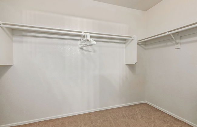 Emile Zola Peoria - Foto 17