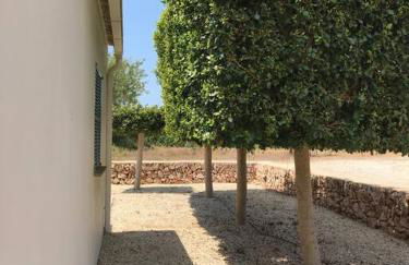 Casa de la luz - Foto 10